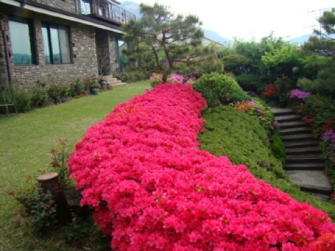 Pyeongchang-dong Single House