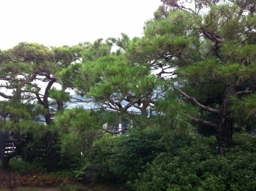 Samcheong-dong Single House