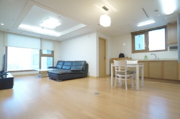 Gangnam-gu Apartment (High-Rise)