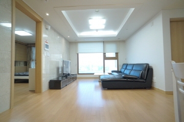 Gangnam-gu Apartment (High-Rise)