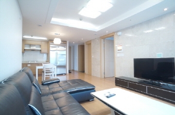 Gangnam-gu Apartment (High-Rise)