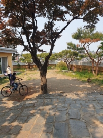 Bogwang-dong Single House