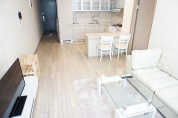 Yeoksam-dong Efficency Apartment