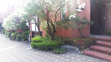 Seocho-dong Single House