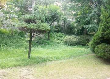 Yeonhui-dong Single House