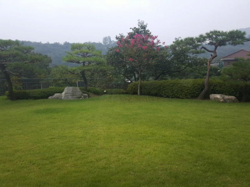 Seongbuk-dong Single House For Rent