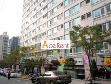 Yeoksam-dong Efficency Apartment