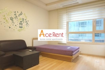 Yeoksam-dong Efficency Apartment