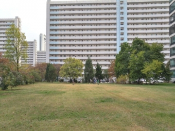 Jamsil-dong Apartment (High-Rise)