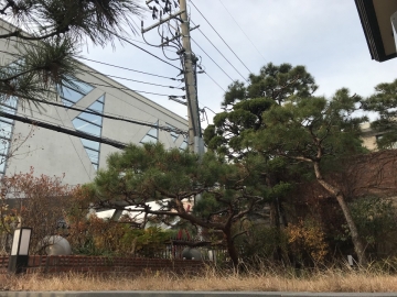 Hyehwa-dong Single House