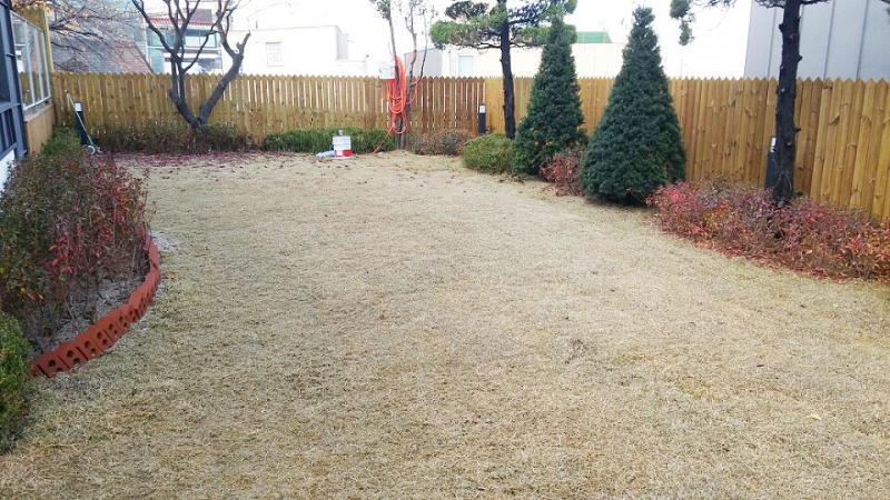  Yongsan-gu Single House For Rent