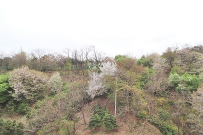 Heukseok-dong Apartment (High-Rise)