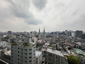 Yeoksam-dong Efficency Apartment